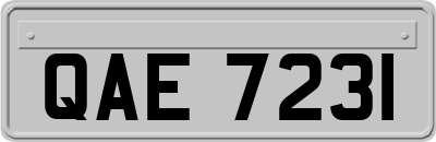 QAE7231