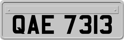 QAE7313