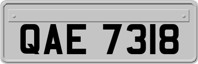 QAE7318