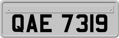 QAE7319