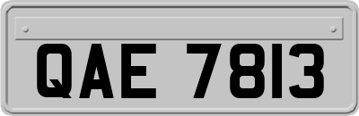 QAE7813