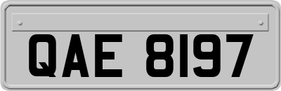 QAE8197