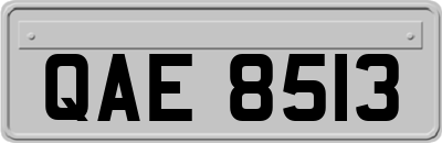 QAE8513