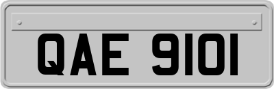 QAE9101