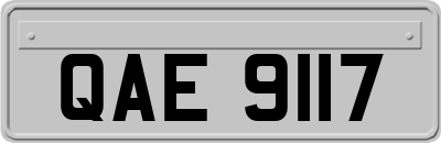 QAE9117