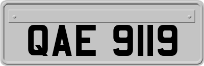 QAE9119