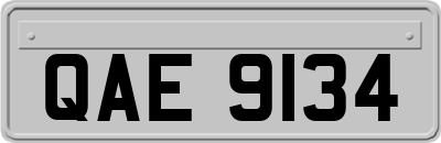 QAE9134