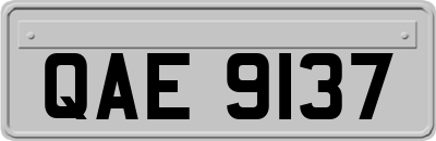 QAE9137