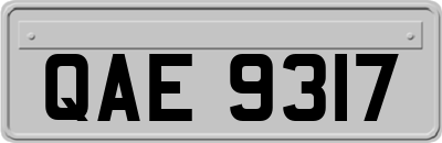 QAE9317