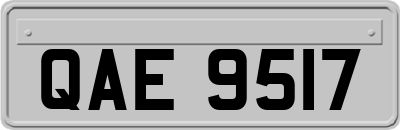 QAE9517