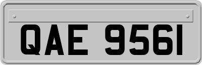 QAE9561