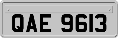 QAE9613