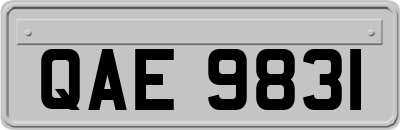 QAE9831
