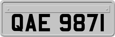 QAE9871