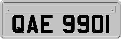 QAE9901