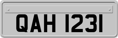 QAH1231