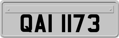 QAI1173