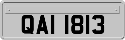 QAI1813