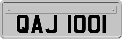 QAJ1001