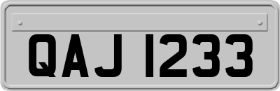 QAJ1233