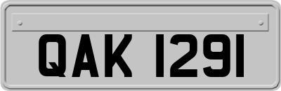 QAK1291