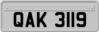 QAK3119