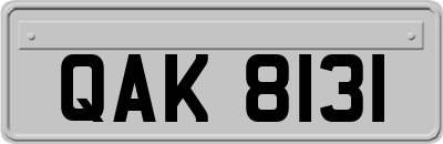 QAK8131