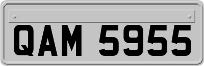 QAM5955