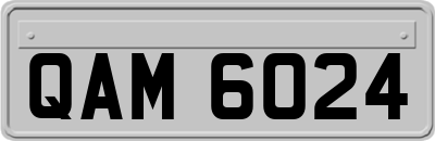 QAM6024