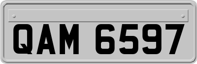 QAM6597