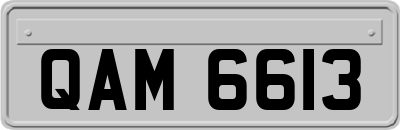 QAM6613