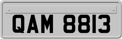 QAM8813