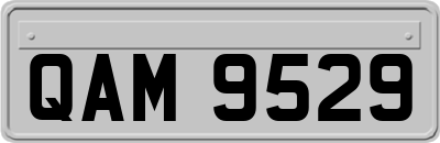 QAM9529