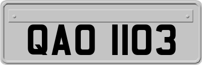QAO1103