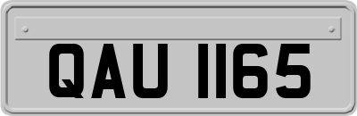 QAU1165