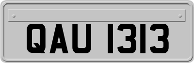 QAU1313