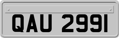 QAU2991