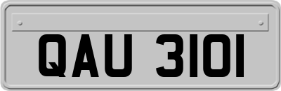 QAU3101