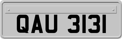 QAU3131