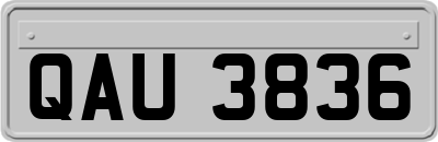 QAU3836