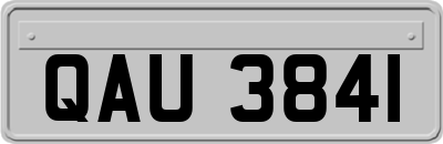 QAU3841