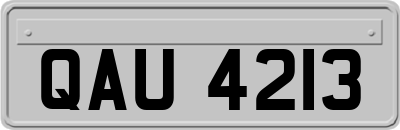 QAU4213