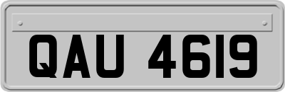 QAU4619