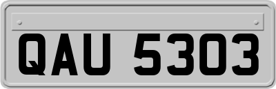 QAU5303