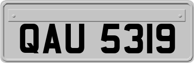 QAU5319