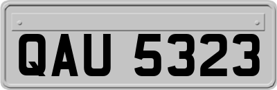 QAU5323