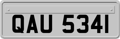 QAU5341