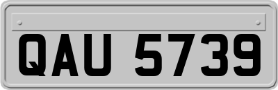 QAU5739