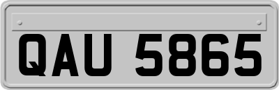 QAU5865