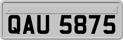 QAU5875